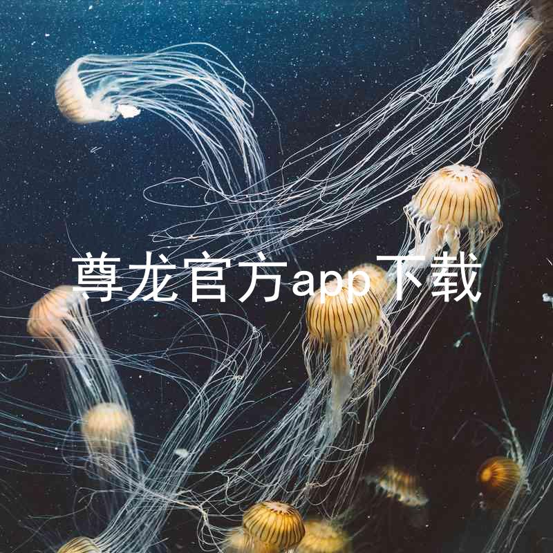 尊龙官方app下载