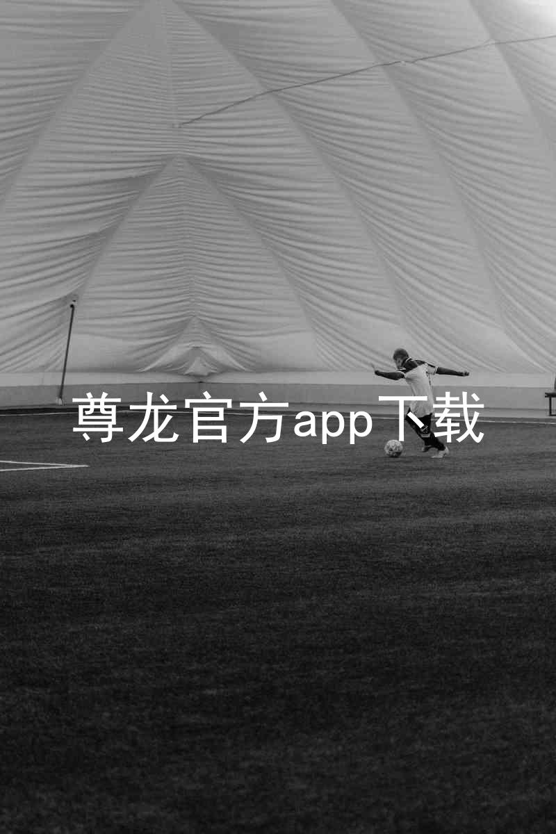 尊龙官方app下载