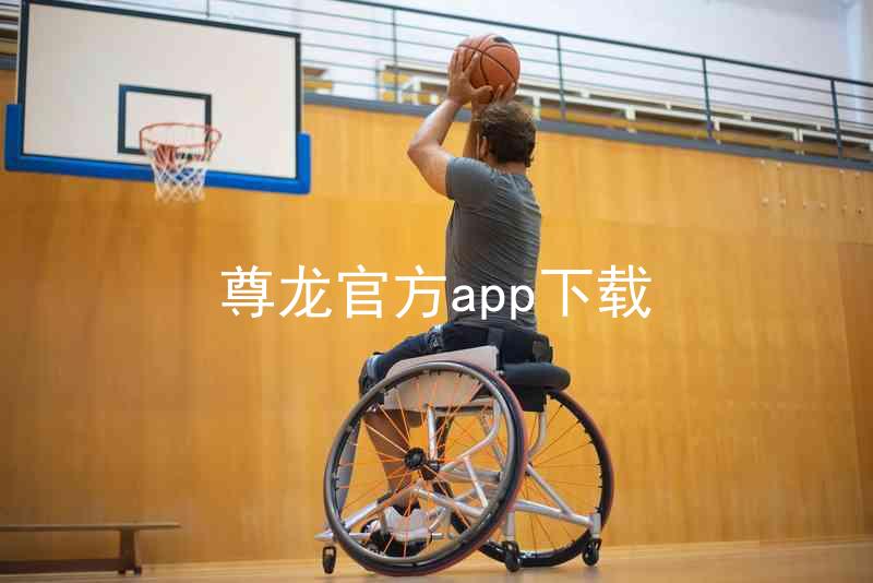 尊龙官方app下载